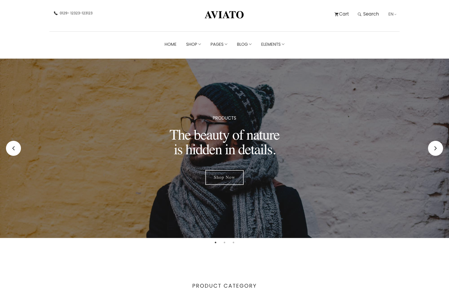 Screenshot of Aviato Bootstrap