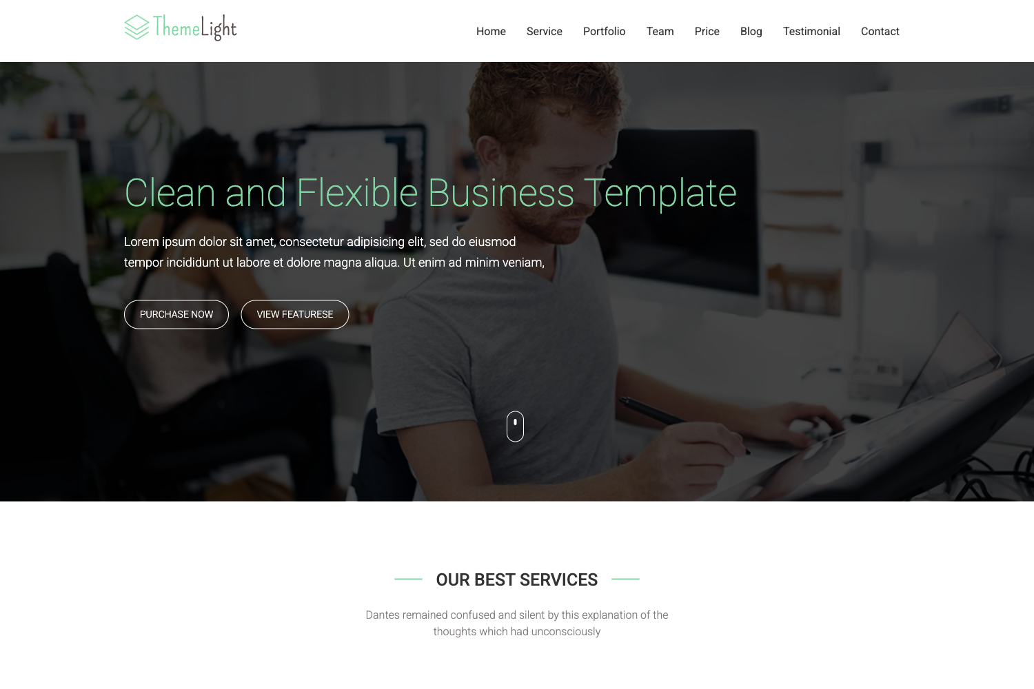 Screenshot of Themelight Bootstrap