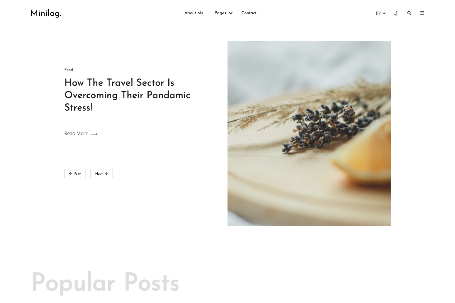 Screenshot of Minilog Hugo