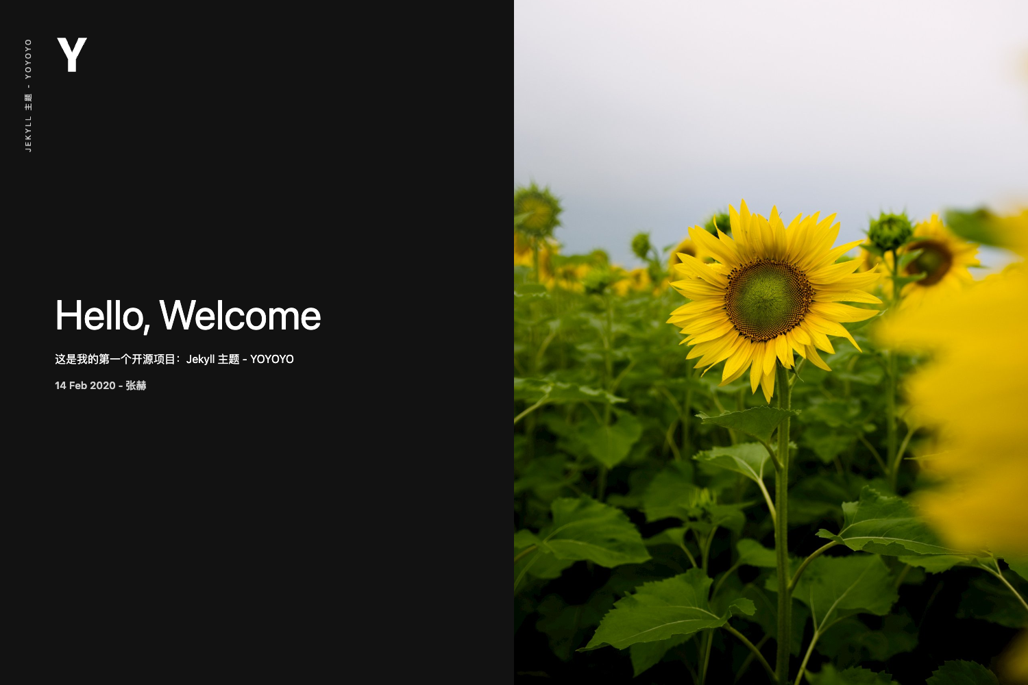 Screenshot of Yoyoyo