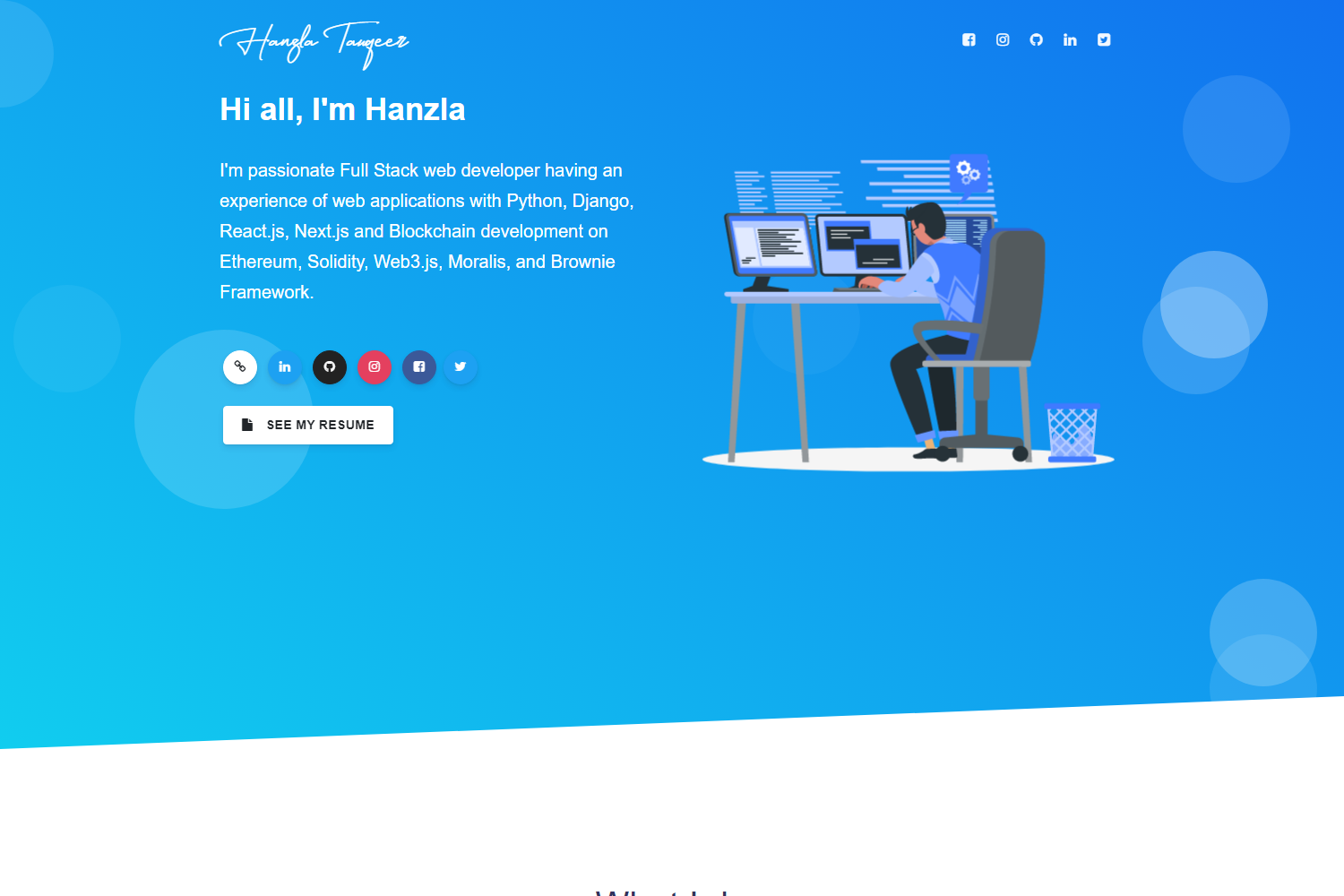 Screenshot of Developer Portfolio