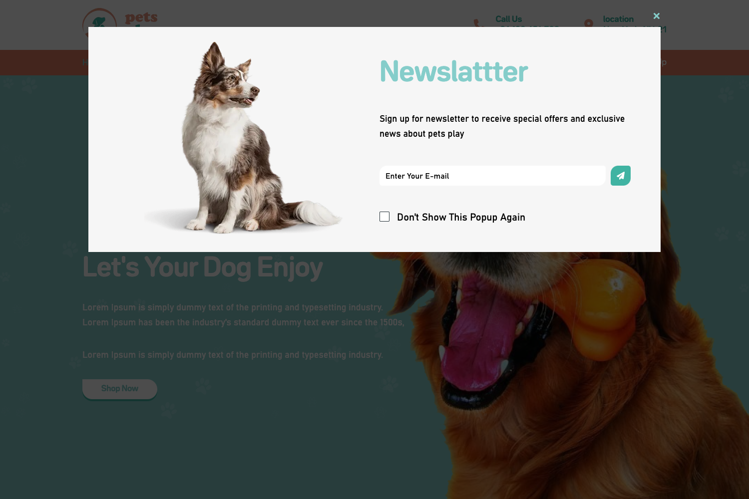 Screenshot of Petsplay - Next.js Pet Shop Website Template