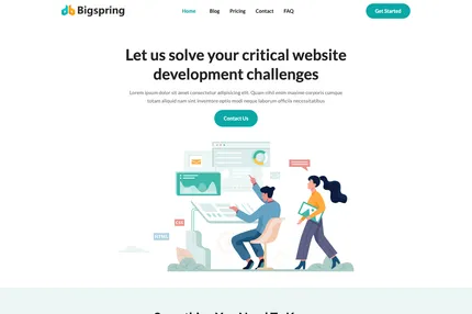 Screenshot of Bigspring Light Nextjs