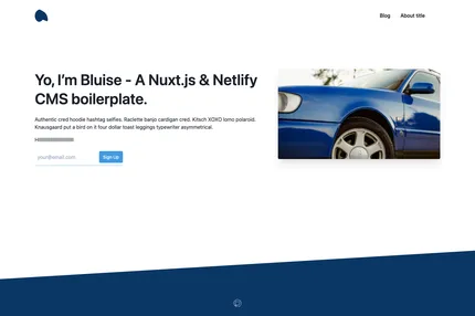 Screenshot of Bluise